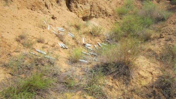 Боеприпасы, обнаруженные на полигоне Ашулук, архивное фото