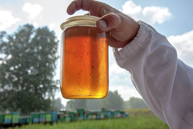 Передвижная пасека в Сибири