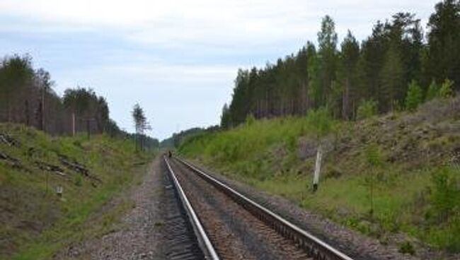 Железная дорога в Ленобласти. Архивное фото