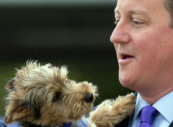 Премьер-министр Великобритании Дэвид Кэмерон держит девяти-месячного йоркширского терьера