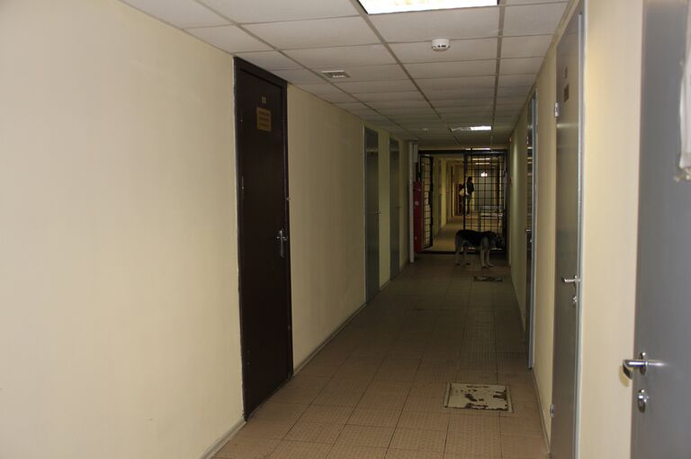 Петербургский центр содержания мигрантов Петербургский центр содержания мигрантов