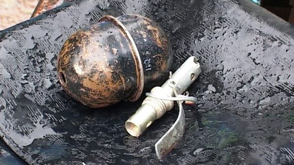 Полицейские обезвредили боевую гранату в одном из сел Горного Алтая