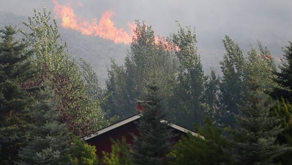 Пожар в штате Айдахо
