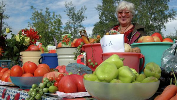 День помидора в Минусинске