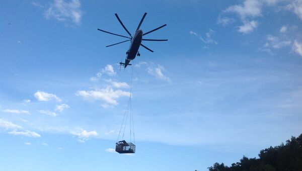 Медведей с затопленной турбазы в Приамурье эвакуировали вертолетом
