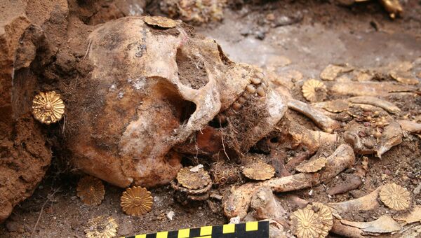 Череп, найденный на могиле сарматской амазонки в Оренбуржье