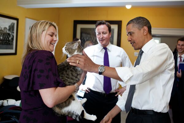 Барак Обама гладит кота Дэвида Кэмерона Ларри