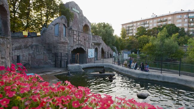 В Московском зоопарке, архивное фото