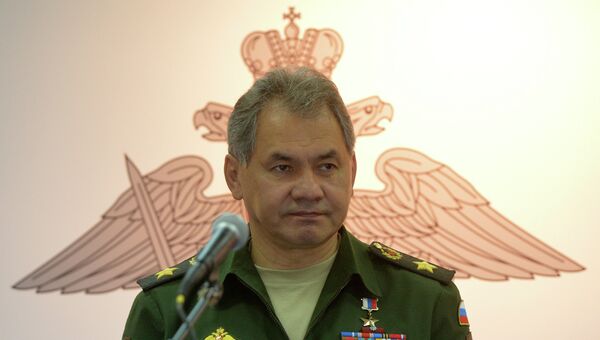 Министр обороны Российской Федерации Сергей Шойгу, архивное фото