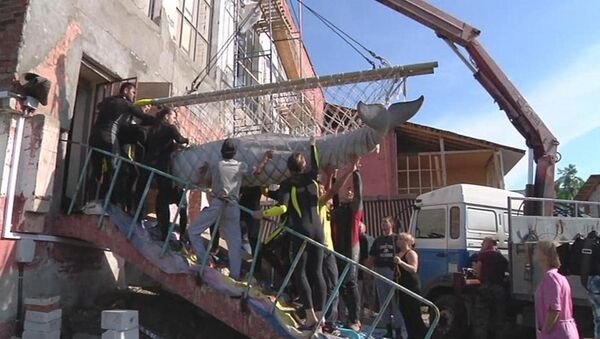 Около 20 человек пытались незаконно вывезти из дельфинария под Ярославлем обитателей