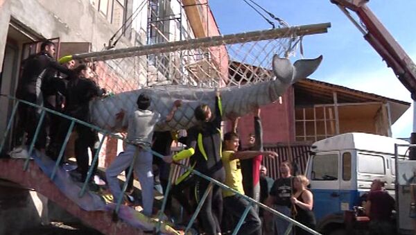 Полиция с помощью крана вернула похищенных дельфинов и белух домой