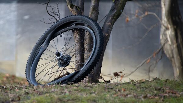 Велосипедное колесо. Архивное фото