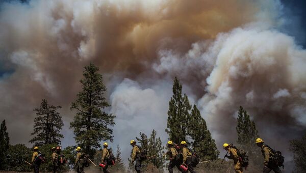 Режим ЧП объявили в Калифорнии из-за лесного пожара
