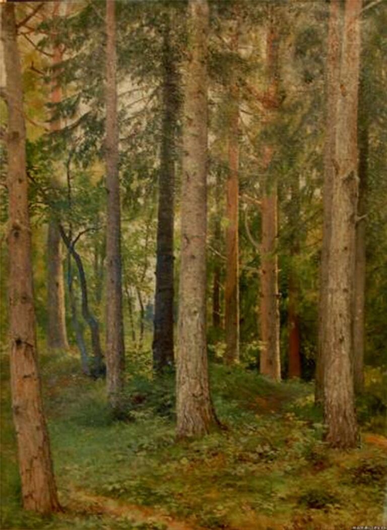 Картина Лес. Ели Ивана Шишкина. Вязниковский музей. Картинная галерея. Собрание С.И. Сенькова. Картина Лес. Ели Ивана Шишкина. Вязниковский музей. Картинная галерея. Собрание С.И. Сенькова.