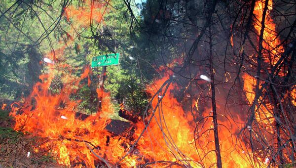 Лесные пожары в Калифорнии. Архивное фото