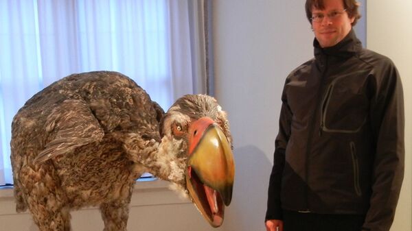 Реконструкция гигантской птицы гасторнис, оказавшейся травоядным животным, а не хищником