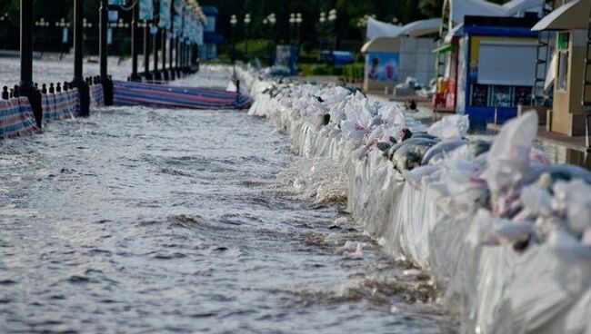 Уровень Амура в Хабаровске за день поднялся на 15 сантиметров