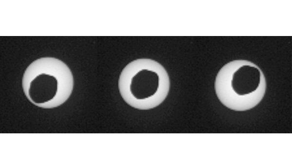 Кольцеобразное солнечное затмение с точки зрения марсохода Curiosity - тень спутника Марса Фобоса проходит по диску Солнца