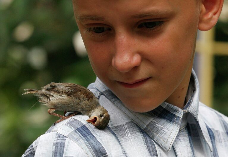 Мальчик с воробьем