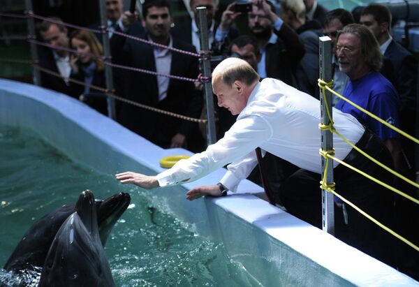 Президент РФ Владимир Путин во время посещения Приморского океанариума, строящегося на острове Русский