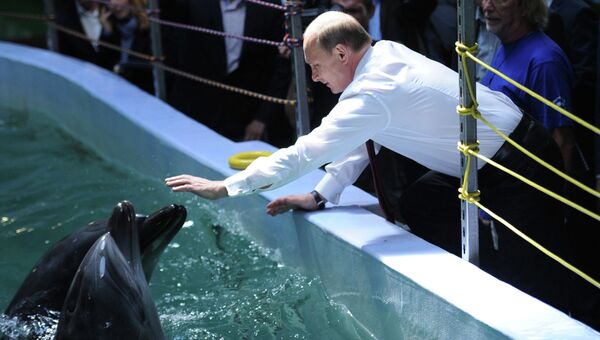 Президент РФ Владимир Путин во время посещения Приморского океанариума, строящегося на острове Русский