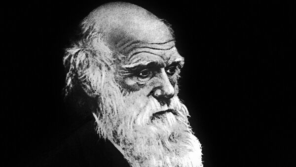 Английский учёный-естествоиспытатель Чарльз Дарвин