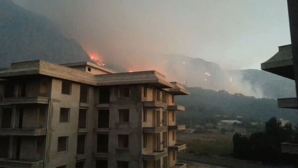 В Анталье вспыхнул лесной пожар. Архивное фото