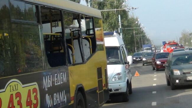 Маршрутка врезалась в лося в Ижевске