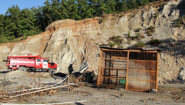 Медведи, эвакуированные во время паводка в Приамурье, вернулись домой. Фото с места события. Медведи, эвакуированные во время паводка в Приамурье, вернулись домой. Фото с места события.