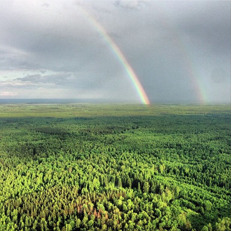 Фото со страницы Дмитрия Медведева в Instagram Июнь. Подмосковье. Радуга