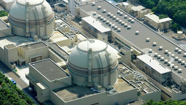 Японская АЭС Ои. Архивное фото