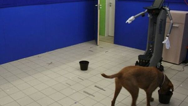 Робот PeopleBot указывает собаке на ведро, в котором спрятана еда, однако та не реагирует на неприветливую речь устройства