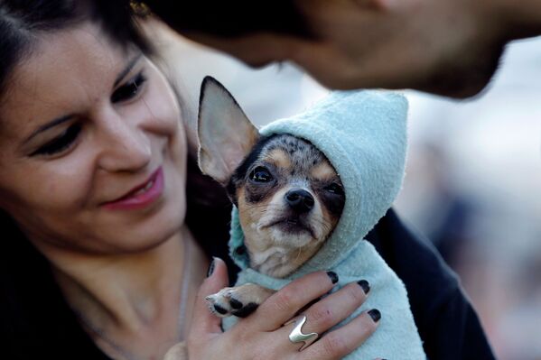 Женщина держит свою собаку во время митинга против нового закона, разрешающего отлов собак в общественных местах