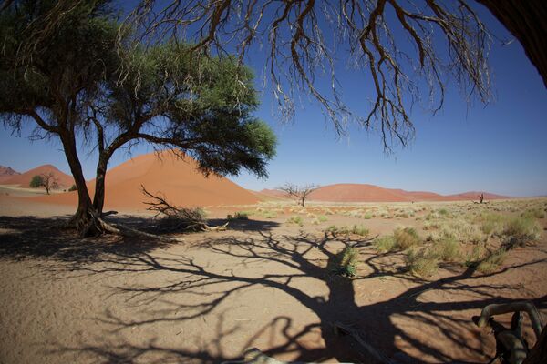 Природа Намибии