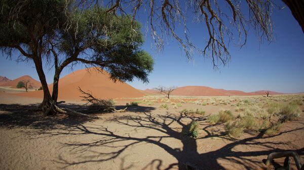 Природа Намибии
