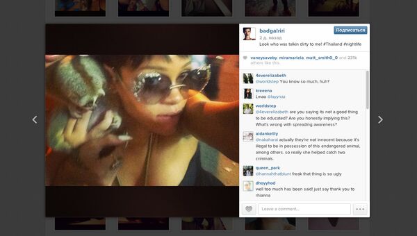 Фотография певицы Рианны с толстым лори в соцсети Instagram