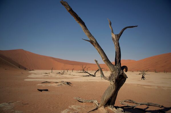 В пустяне Намибии