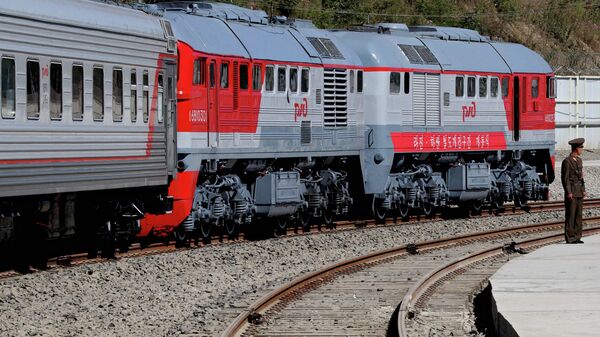 РФ и Украина подумают над проблемой долгих проверок поездов на границе
