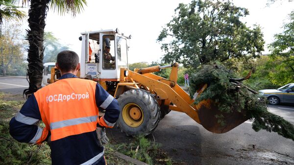 Работники коммунальных служб Сочи ликвидируют последствия урагана. Фото с места события