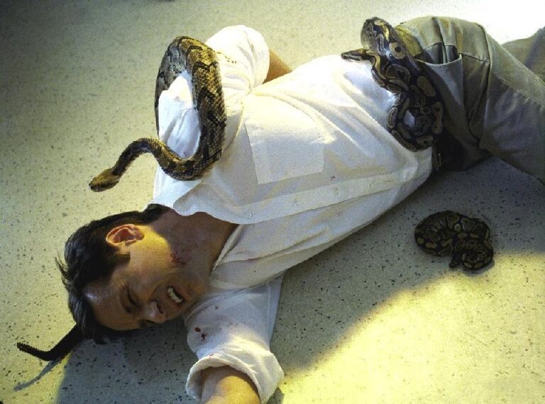 Кадр из телесериала Секретные материалы