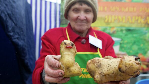 Праздник картошки в Томске