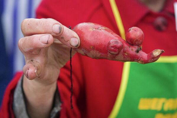 Праздник картошки в Томске