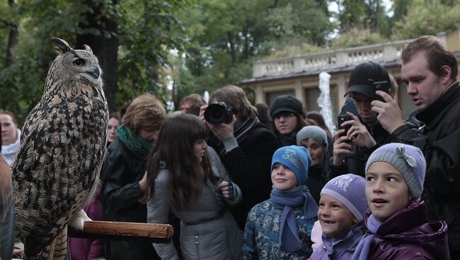 Птицы Ленинградского зоопарка на закрытии фонтанов в Летнем саду в Петербурге. Фото с места события