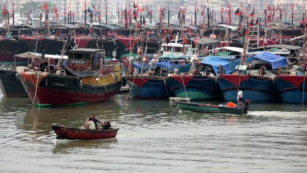 Китайские рыбаки в порту. Архив