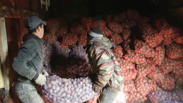 Сельхозпредприятия Удмуртии отправят в Амурскую область 60 тонн картофеля. Архивное фото