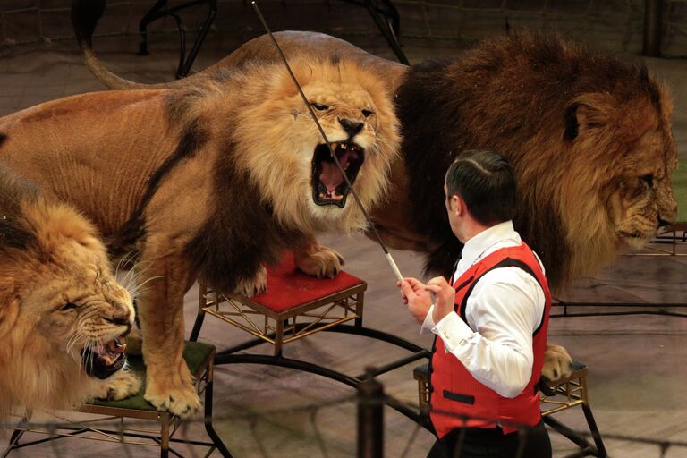 Прогон новой программы в цирке Славы Полунина Прогон новой программы в цирке Славы Полунина