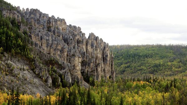 Национальный природный парк Ленские столбы в Якутии. Архивное фото