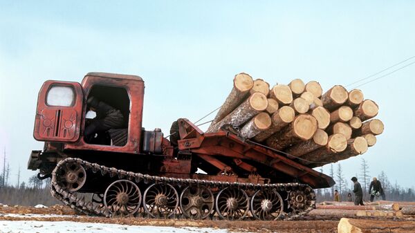 Трелевочник на заготовке древесины, архивное фото