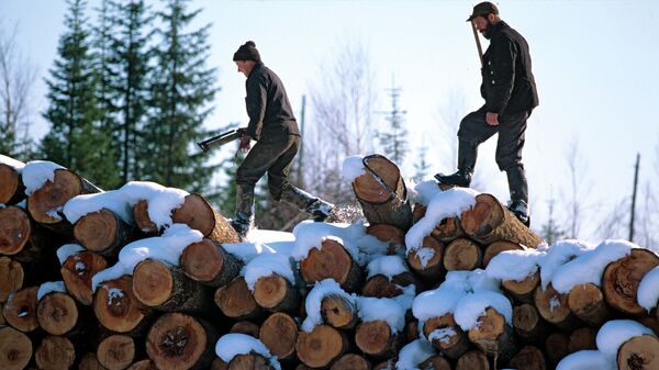 Заготовка леса в Хабаровском крае. Архивное фото