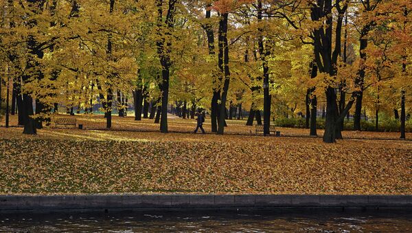 Осень в Петербурге. Архивное фото